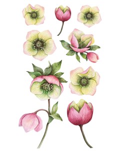 НАКЛЕЙКИ ДЕКОРАТИВНЫЕ ВИНИЛОВЫЕ Розовые цветы Divino sticky