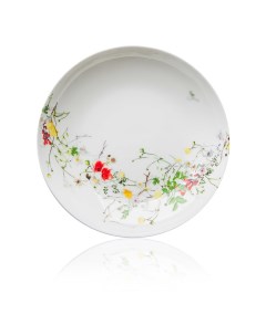 Тарелка суповая Дикие цветы 21 см фарфор костяной Rosenthal