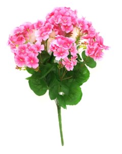 Искусственные цветы Герань розовая Holodilova