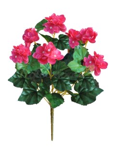 Искусственные цветы Бегония розовая Holodilova