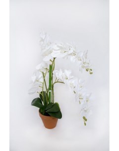 Искусственные цветы орхидея Holodilova