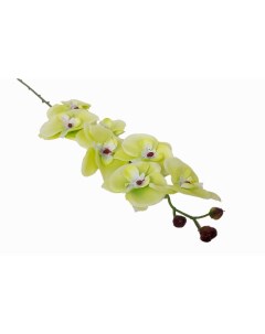 Искусственные цветы Орхидея салатовая В 19 00 1 Holodilova