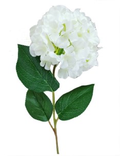 Искусственные цветы Гортензия белая Holodilova