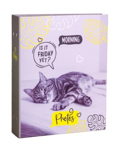Фотоальбом Питомцы Утренний котик с кармашками на 200 фото 10х15 см Полином