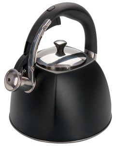 Чайник для плиты Regent 93 TEA 31 3 л Regent inox