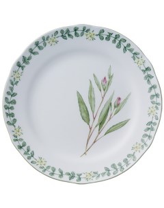 Тарелка обеденная Английские травы 27 5см Noritake