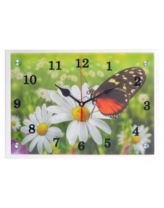 Часы Часы настенные серия Цветы Бабочка и ромашки 25х35 см микс Сюжет