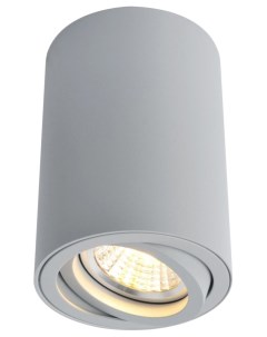 Потолочный светильник Sentry A1560PL 1GY Arte lamp