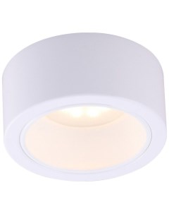 Потолочный светильник Effetto A5553PL 1WH Arte lamp