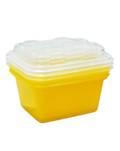 Набор контейнеров д заморозки Zip mini 3 шт лимон Беросси