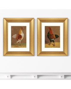 Набор из 2 х репродукций картин в раме Fighting Cocks 1829г II 40 5х50 5см Картины в квартиру