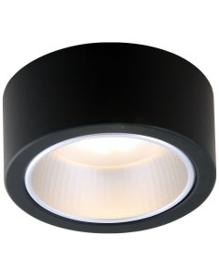 Потолочный светильник Effetto A5553PL 1BK Arte lamp