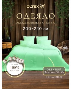 Одеяло Бамбук классическое 200х220 ОБТ 22 4 фисташковое Ol-tex