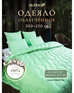 Одеяло Бамбук 200х220 ОБТ 22 2 фисташковое Ol-tex