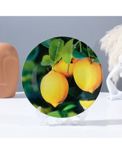 Тарелка декоративная Лимон на ветке настенная D 17 5 см Nobrand
