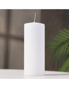 Свеча цилиндр 8х20 см 90 ч 795 г белая Омский свечной