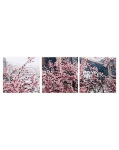 Модульная картина Весенний Париж 3 35х35 35х105 см Nobrand