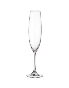 Бокал для шампанского 250 мл стекло 6 шт Barbara Milvus 1SD22 250 Bohemia