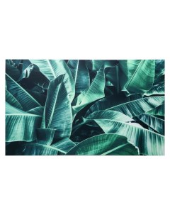 Картина на холсте Тропики 60х100 см Topposters