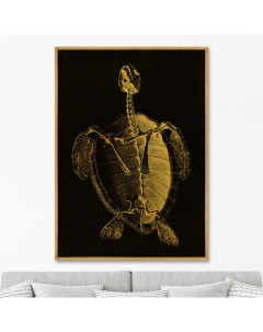 Репродукция картины на холсте Turtle Skeleton 1733г 75х105см Картины в квартиру