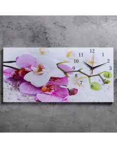 Часы настенные на холсте серия Цветы Орхидеи 40х76 см Сюжет