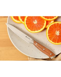 Нож кухонный Wood универсал нерж сталь 12 5 см рук дерев 160939 4 Daniks