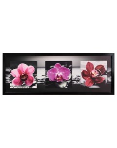 Картина Тёмно розовые орхидеи 42х107 см рамка микс Сюжет