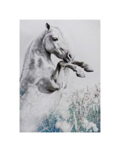 Картина холст на подрамнике Конь 50х70 см Topposters