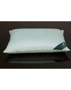 Подушка для сна nfl309170 пух перо 70x70 см Anna flaum