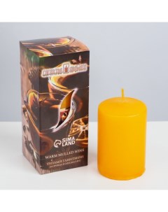 Ароматическая свеча Теплый глинтвейн 4x6 см в коробке Богатство аромата