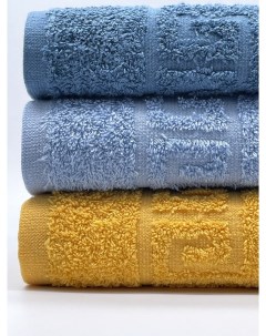 Набор полотенец размер 40х70 3 шт Арт с46 2 54 разноцветные Tm textile