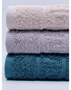 Набор полотенец размер 40х70 3 шт Арт с22 9 39 разноцветные Tm textile
