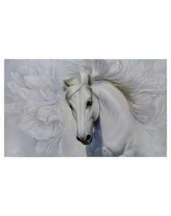 Картина холст на подрамнике Белоснежный конь 60х100 см Topposters