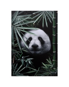 Картина на холсте Панда в листьях 50х70 см Topposters