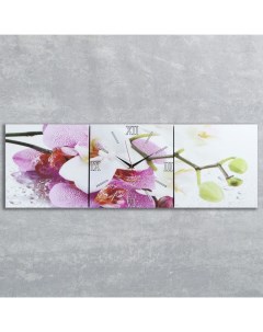 Часы серия Цветы модульные Орхидеи 35х110 см Сюжет