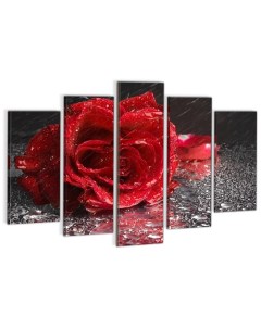 Модульная картина на холсте Алая роза с каплями дождя 80х140 см Добродаров