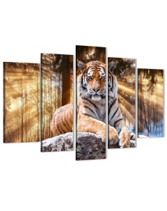 Модульная картина на натуральном холсте Тигр в лучах солнца Животные 80х140 см MD0234 Добродаров