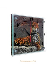 Часы настенные серия Животный мир Леопард 25х35 см Сюжет