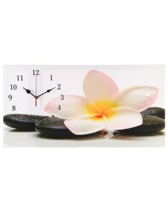Часы Сюжет серия Цветы на холсте Белый цветок на камнях 40х76 см Nobrand