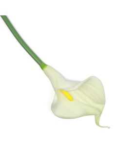 Цветок искусственный Калла Айрис