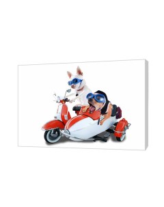 Картина на холсте на стену Собаки на мотоцикле 50х70 см Сити бланк