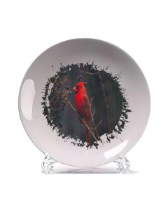 Тарелка Красная птица на черном фоне Coolpodarok