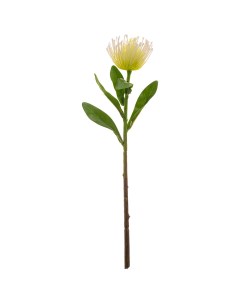 Цветок искусственный Леукоспермум высота 40 см без упаковки 265 600 Lefard