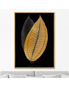 Репродукция картины на холсте Calophyllum inophyllum leaf 1865г 75х105см Картины в квартиру