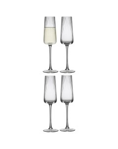 Набор из 4 штук Бокалы для шампанского Celebrate 0 24 л прозрачные Liberty jones