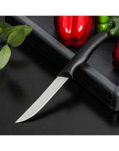 Нож Грайм универсальный лезвие 11 5 см цвет чёрный Доляна