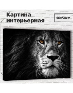 Картина 40х50 см Могучий лев XL0047 с креплениями Добродаров