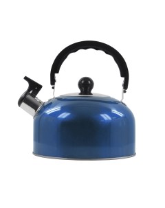 Чайник со свистком HE WK1602 голубой аквамарин Home element