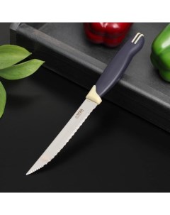 Нож кухонный Мультиколор для мяса лезвие 11 5 см с пластиковой ручкой Труд вача