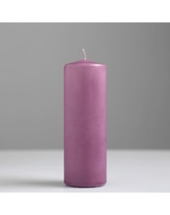 Свеча цилиндр 5х15 см фиолетовая лакированная Богатство аромата